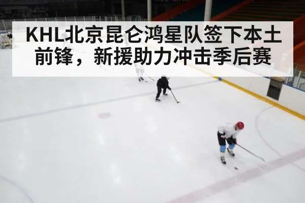 ice hockey game