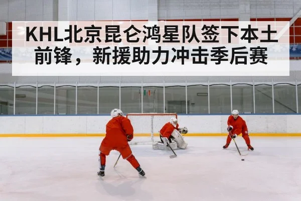 ice hockey rink