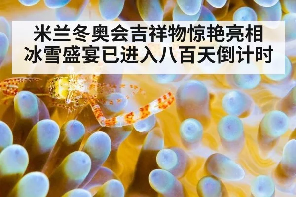 米兰冬奥会吉祥物惊艳亮相 冰雪盛宴已进入八百天倒计时